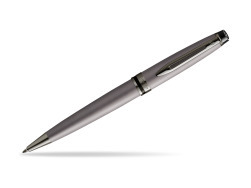 Waterman Ballpoint Pen Expert Metalic Silver CT