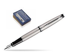 Waterman Expert Stainless Steel CT Fountain pen