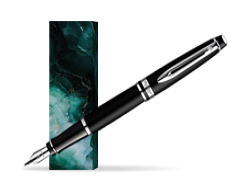 Waterman Expert Matt Black CT Fountain Pen