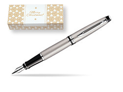 Waterman Expert Stainless Steel CT Fountain pen