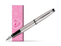 Waterman Expert Stainless Steel CT Fountain pen