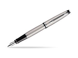 Waterman Expert Stainless Steel CT Fountain pen