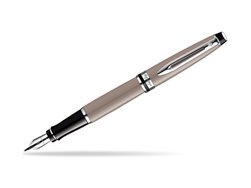 Waterman Expert Taupe CT Fountain pen