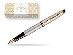 Waterman Expert Stainless Steel GT Fountain pen