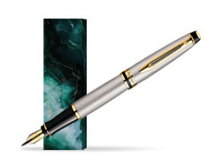 Waterman Expert Stainless Steel GT Fountain pen