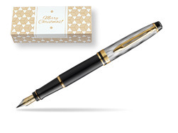 Waterman EXPERT REFLETS DE PARIS Fountain pen