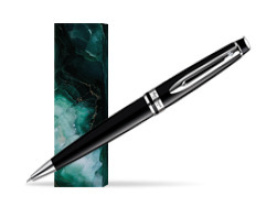 Waterman Expert Black CT Ballpoint pen