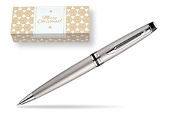 Waterman Expert Stainless Steel CT Ballpoint pen